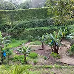 Appartement Casa-stella-azores *