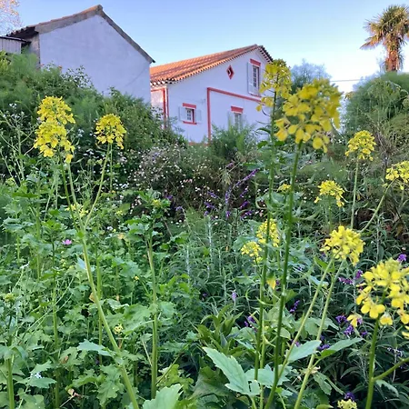 Casa-stella-azores * Capelas (Sao Miguel)
