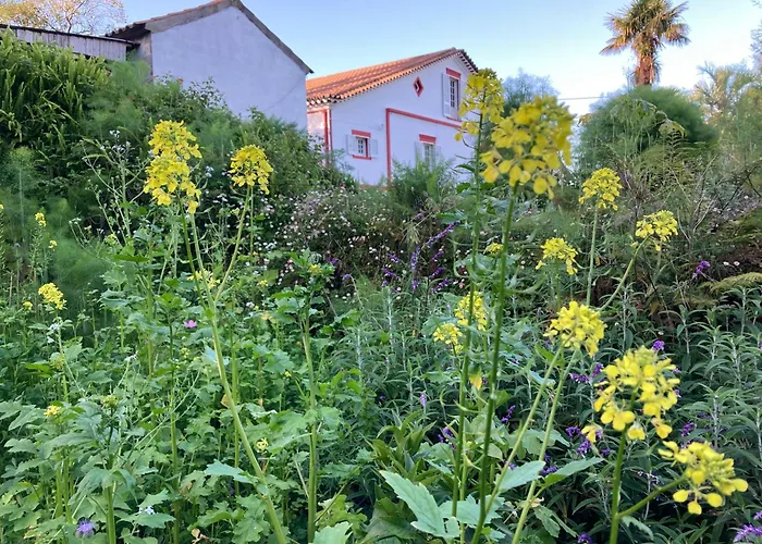 Casa-stella-azores * Capelas (Sao Miguel)