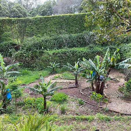 Lejlighed Casa-stella-azores *