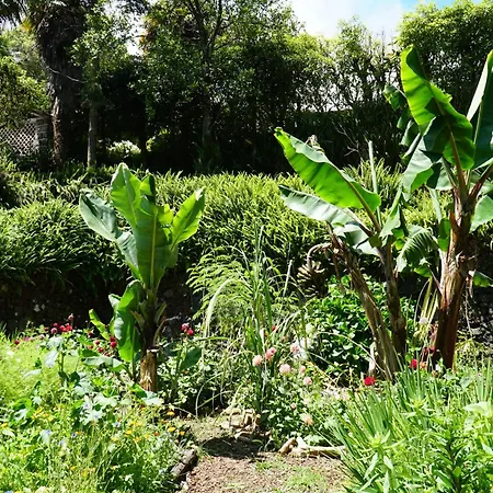 Apartment Casa-stella-azores Capelas (Sao Miguel)